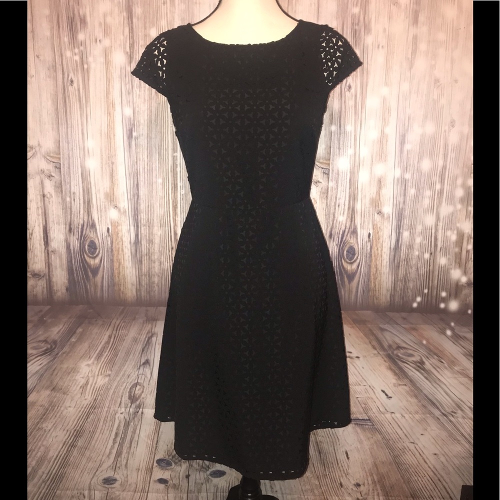 J Crew womans dress 2